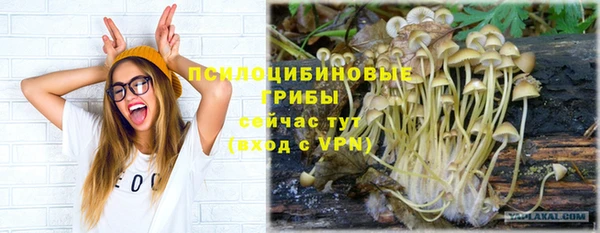 мяу мяу мука Аркадак
