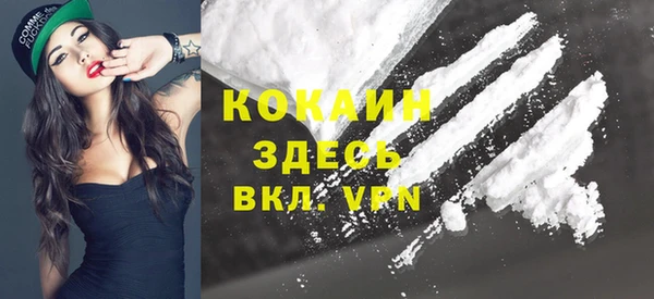 мяу мяу мука Аркадак